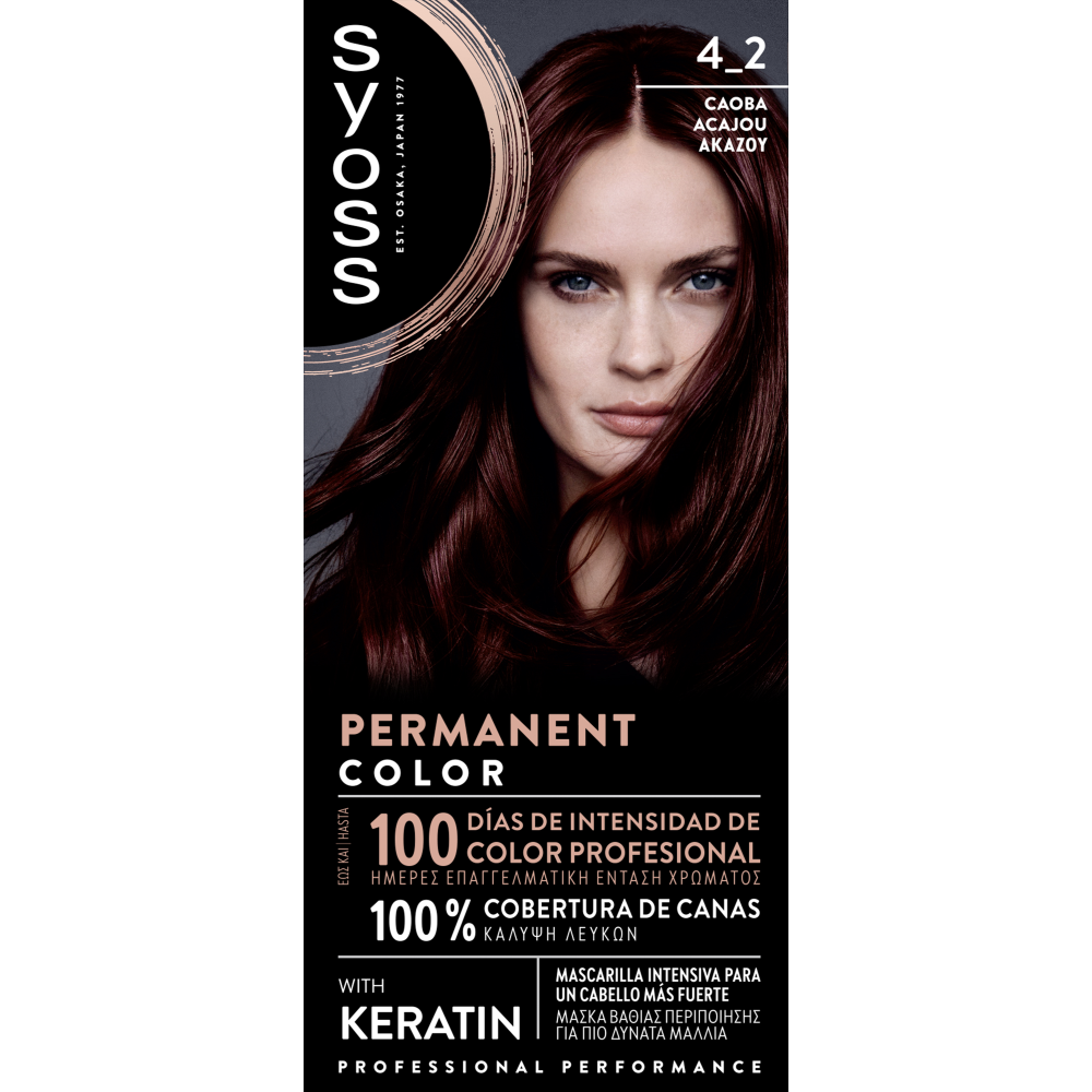 Syoss Color N4-2 Ακαζού