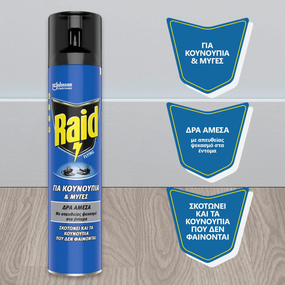 Raid Εντομοκτόνο Spray 300ml