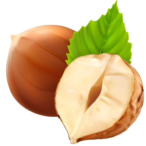 Ξηροί Καρποί