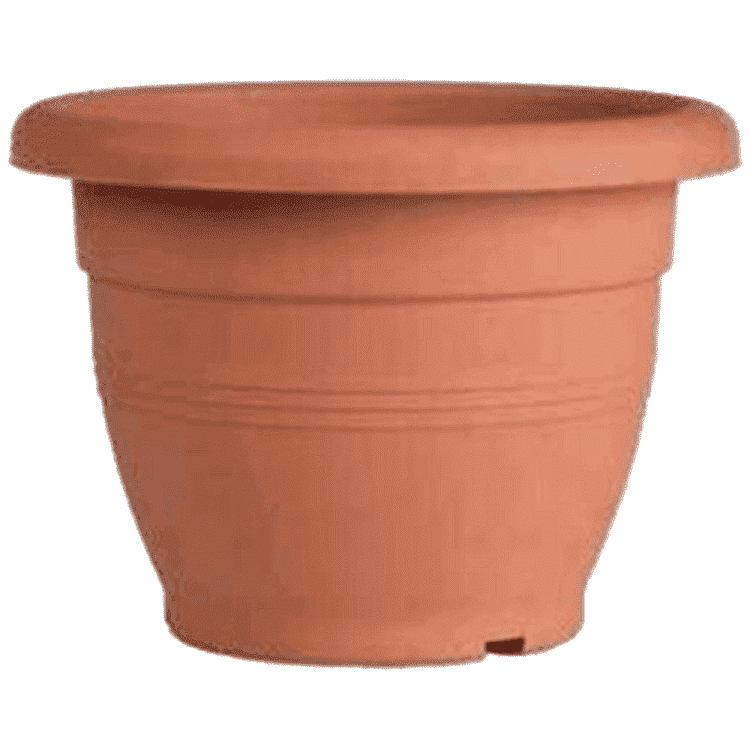 Γλάστρα Νο 3