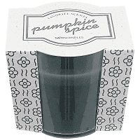 Saitis Κερί Ποτήρι Πλαστικό Γκρί Pumpkin Spice 180gr