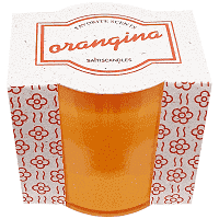 Saitis Κερί Ποτήρι Πλαστικό Σομόν Organgina 180gr