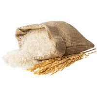 Ρύζι Καρολίνα Εγχώριο 5kg Τιμή Κιλού