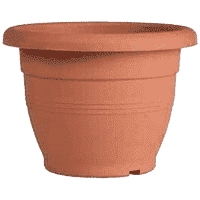 Γλάστρα Νο 3